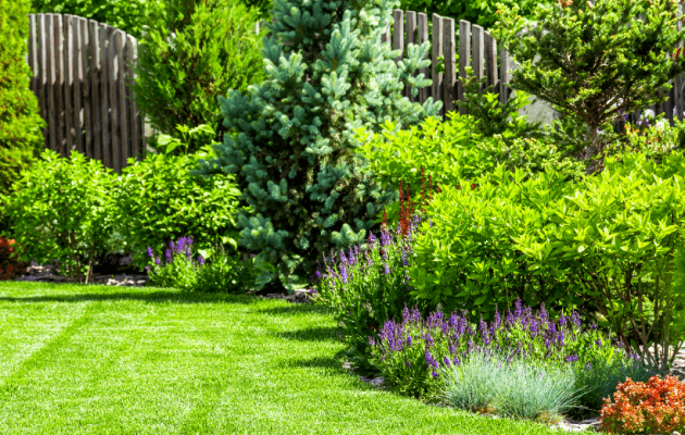 The Benefits of Professional Lawn Mowing Services: Why It’s Worth It