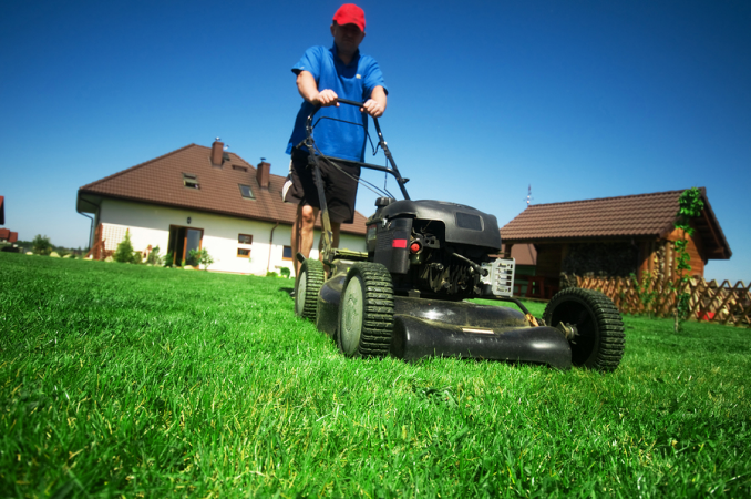 Lawn Mowing Service