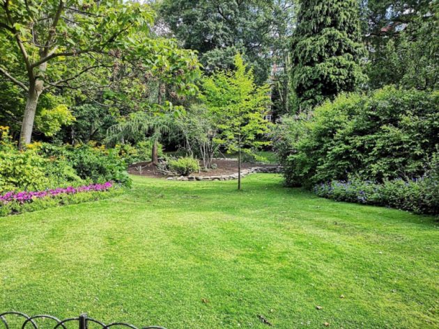 The Ultimate Guide to Achieving a Healthy, Green Lawn in Fort Worth