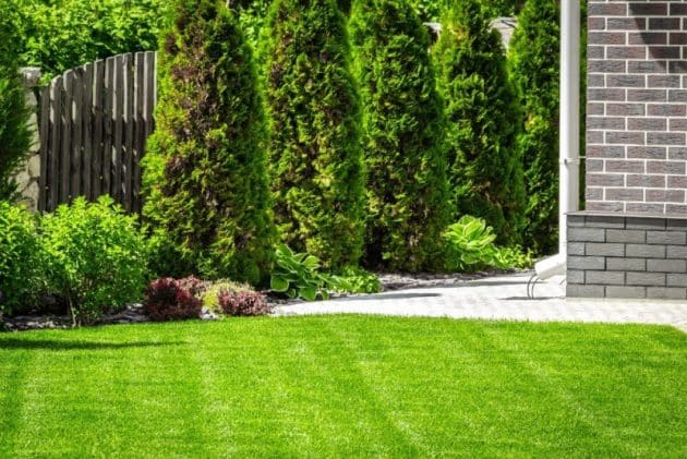 How Regular Lawn Maintenance Saves Time and Money in the Long Run