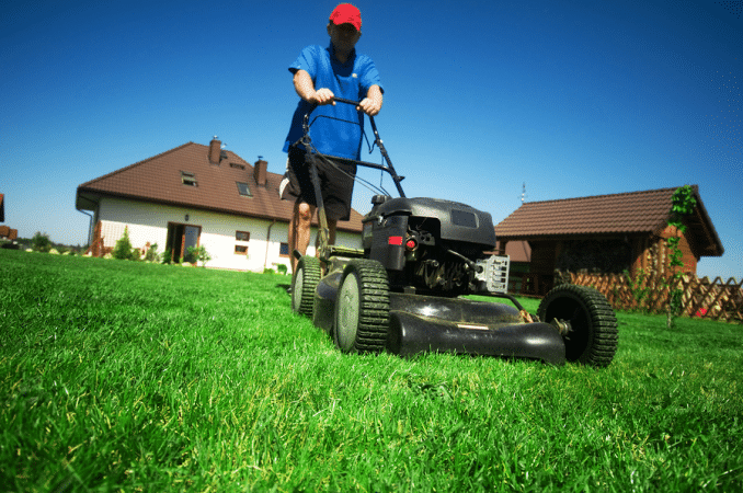 Why Lawn Mowing Frequency Matters: A Guide for Fort Worth Residents