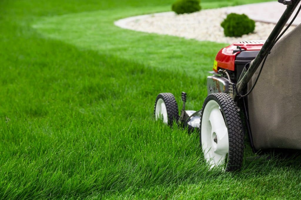 Trusted Lawn Mowing & Maintenance Services in Argyle, TX