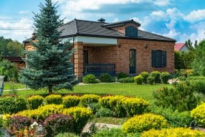 Can Fertilizer Help Fight Lawn Weeds in Fort Worth? Yes and Here’s How