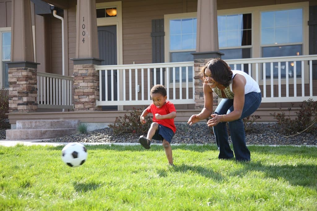 Expert Lawn Fertilization Services in Haslet, TX Boost Turf Health and Stop Weeds Naturally