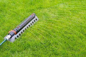 How Fertilizer Strengthens Grass Roots Against Drought and Stress