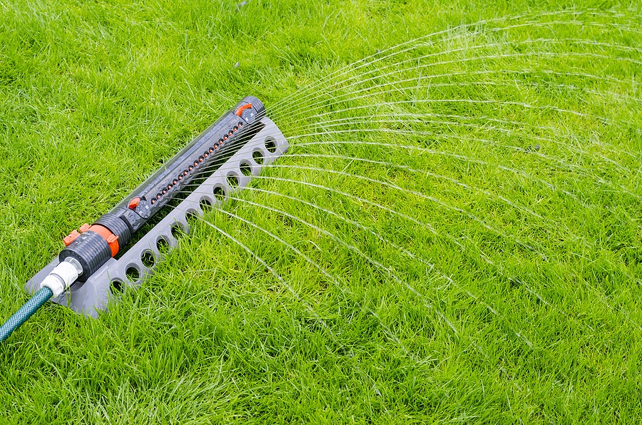 Lawn Fertilization Services in North 
Richland Hills, TX